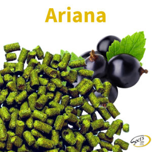 Luppolo in Pellet P90 Ariana 100g