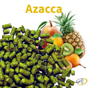 Luppolo in Pellet P90 Azacca® 100g