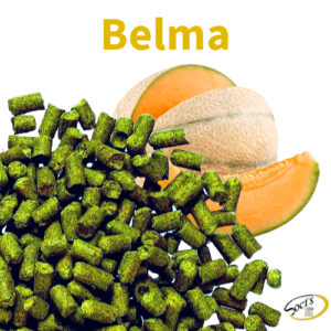 Luppolo in Pellet P90 Belma® 5kg