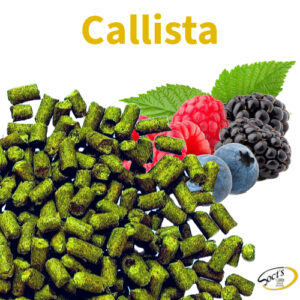Luppolo in Pellet P90 Callista 250g