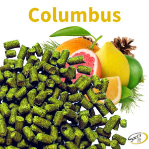 Luppolo in Pellet P90 Columbus 100g