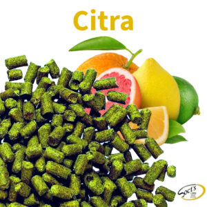 Luppolo in Pellet P90 Citra® 1kg