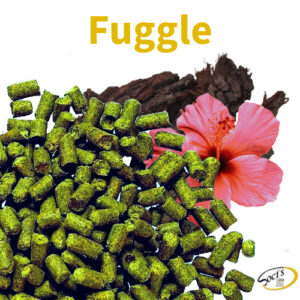 Luppolo in Pellet P90 Fuggle 1kg