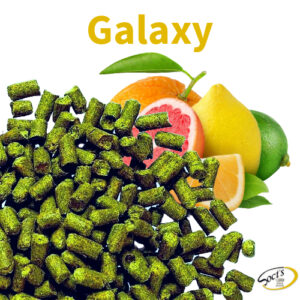 Luppolo in Pellet P90 Galaxy 250g