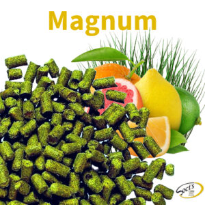 Luppolo in Pellet P90 Magnum 100g