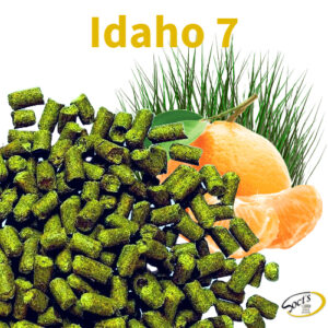 Luppolo in Pellet P90 Idaho 7 
100 g