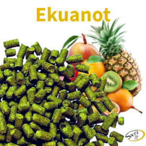 Luppolo in Pellet P90 Ekuanot™ 250g