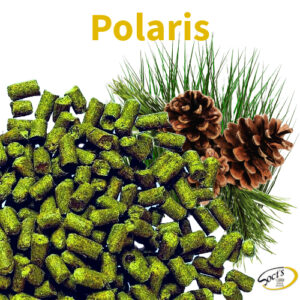 Luppolo in Pellet P90 Polaris 250g