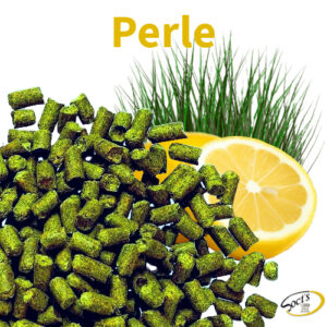 Luppolo in Pellet P90 Perle 100g