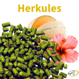 Luppolo in Pellet P90 Herkules 100g