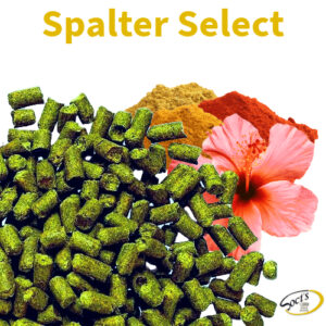Luppolo in Pellet P90 Spalter Select 250g