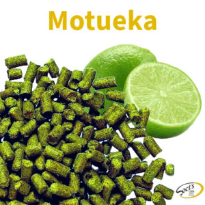 Luppolo in Pellet P90 Motueka 250g