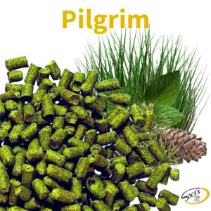 Luppolo in Pellet P90 Pilgrim 250g