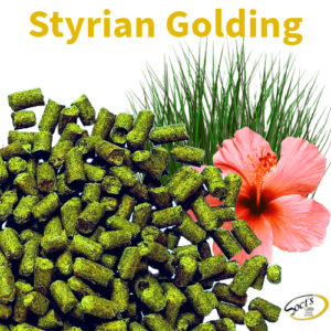 Luppolo in Pellet P90 Styrian Golding 1kg