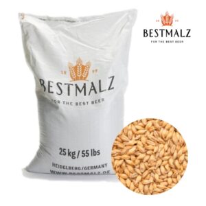 Malto d'orzo BEST Pilsner 5 kg