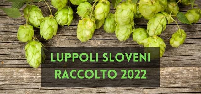 Luppoli sloveni Raccolto 2022